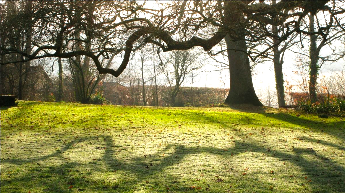 Stage : Clown et théâtre d'objet